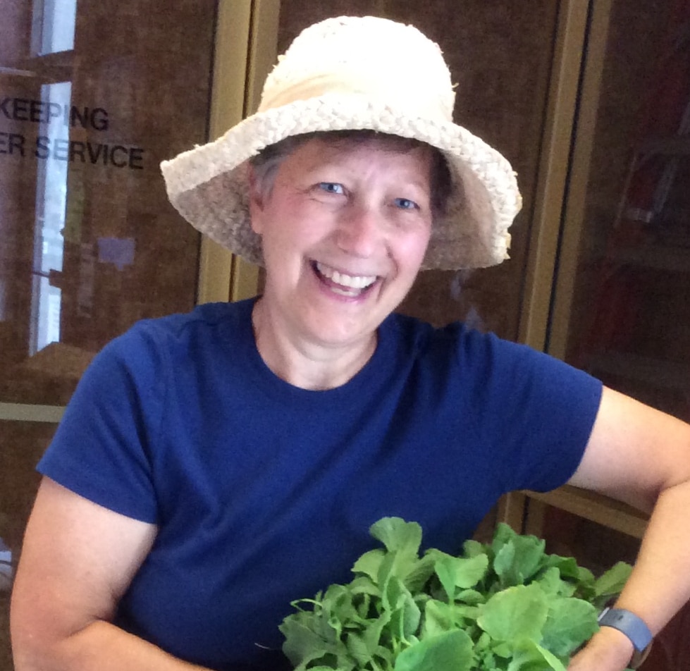 Carol Erickson Board Member