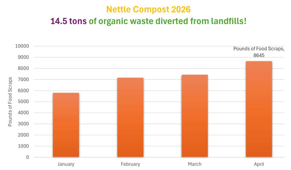 Nettle Compost 2026 April